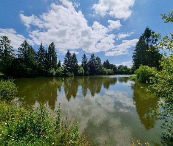 8.5 acre lake in Lassay les Chateaux, Mayenne, Pays-de-la-Loire Image
