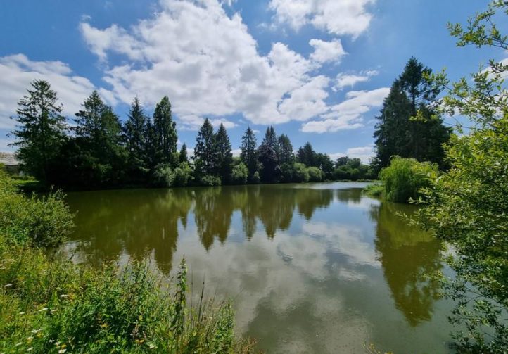 8.5 acre lake in Lassay les Chateaux, Mayenne, Pays-de-la-Loire Image