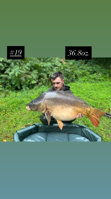 Chestnut Pool: 30-08-2025 to 06-09-2025