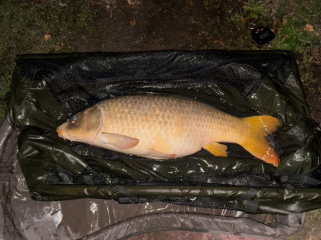 Etang de Janine – 20 September, 2025