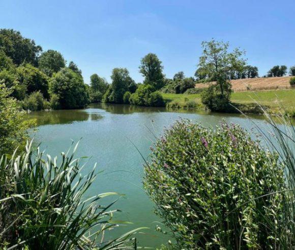 2.5 Acre Lakes in Mayenne with 3 Bed Luxury House Image
