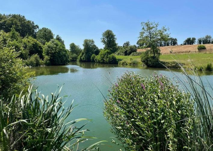 2.5 Acre Lakes in Mayenne with 3 Bed Luxury House Image
