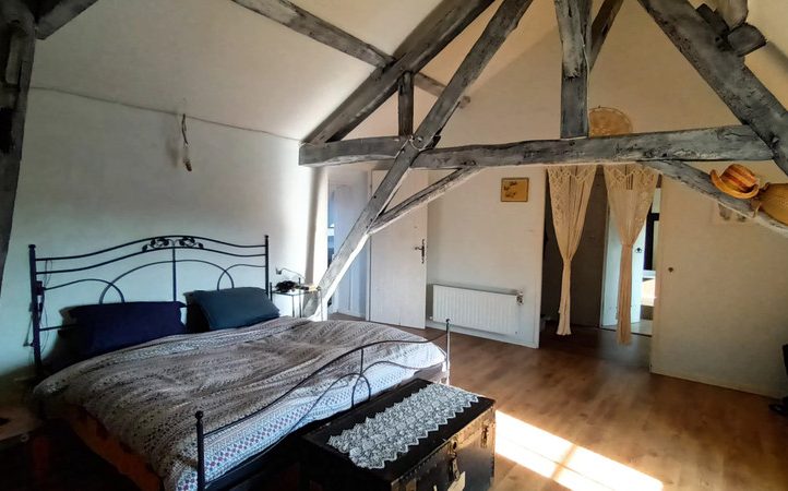 Renovated Longère with Gîte, Carp Fishing Lake and 16 Acres near Le Mans Image