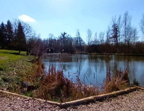 Renovated Longère with Gîte, Carp Fishing Lake and 16 Acres near Le Mans Image