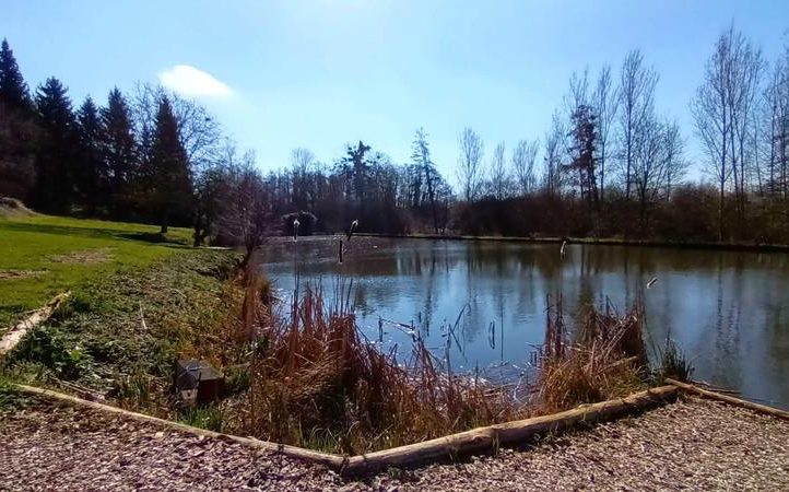 Renovated Longère with Gîte, Carp Fishing Lake and 16 Acres near Le Mans Image
