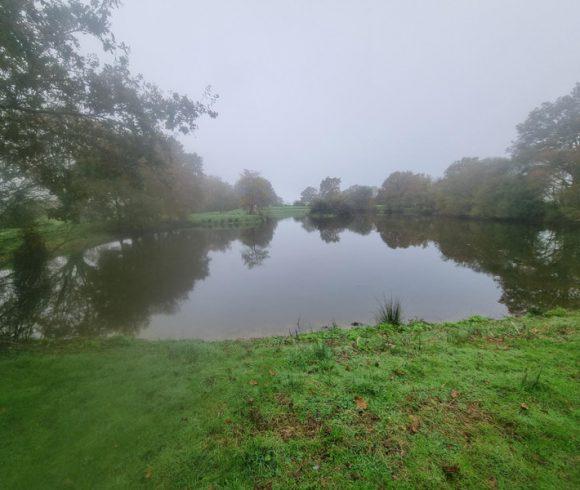 1.25 acre lake with derelict stone house – Maine-et-Loire, Pays-de-la-Loire Image