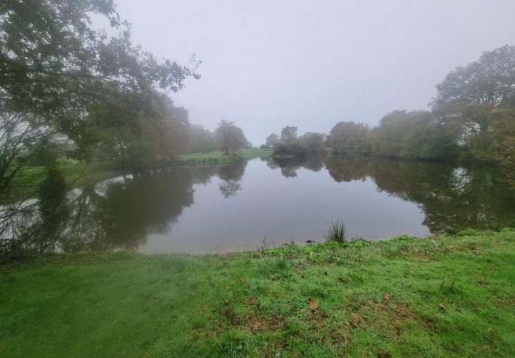 1.25 acre lake with derelict stone house – Maine-et-Loire, Pays-de-la-Loire Image