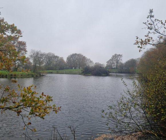 1.25 acre lake with derelict stone house – Maine-et-Loire, Pays-de-la-Loire Image