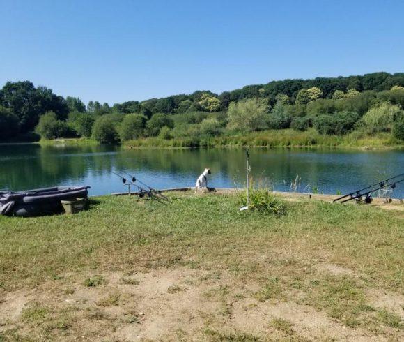 Carp Fishery with Renovated Stone Cottage and 23 Acres of Land Image
