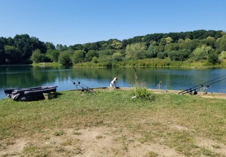 Carp Fishery with Renovated Stone Cottage and 23 Acres of Land Image