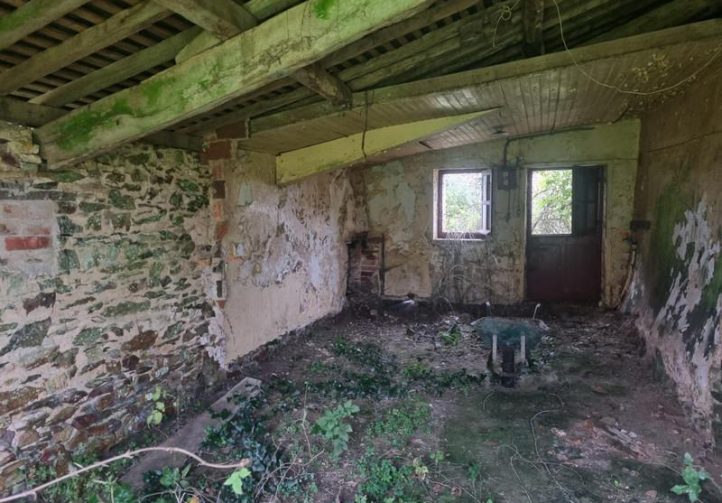 1.25 acre lake with derelict stone house – Maine-et-Loire, Pays-de-la-Loire Image