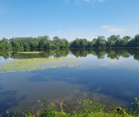 17.5 acre lake with accommodation near Fougères Image