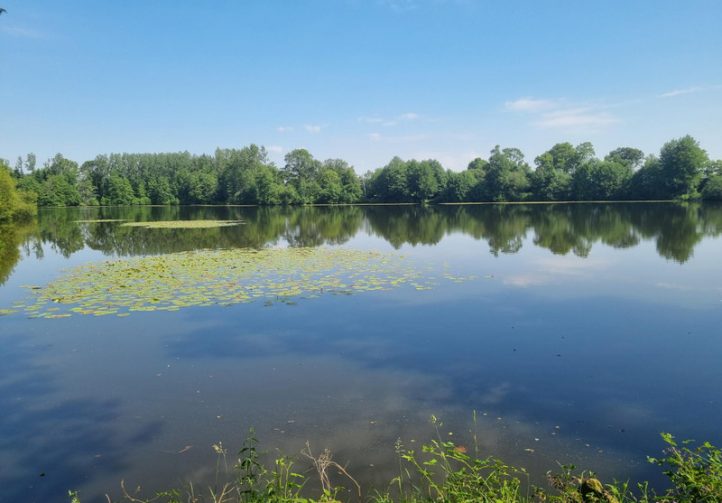 17.5 acre lake with accommodation near Fougères Image