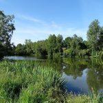 5 acre lake with 3 bedroom house in Mayenne Image