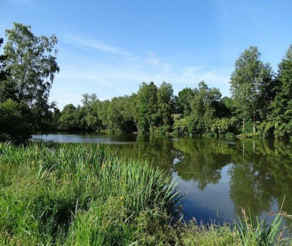 5 acre lake with 3 bedroom house in Mayenne Image
