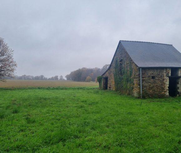 1.25 acre lake with derelict stone house – Maine-et-Loire, Pays-de-la-Loire Image