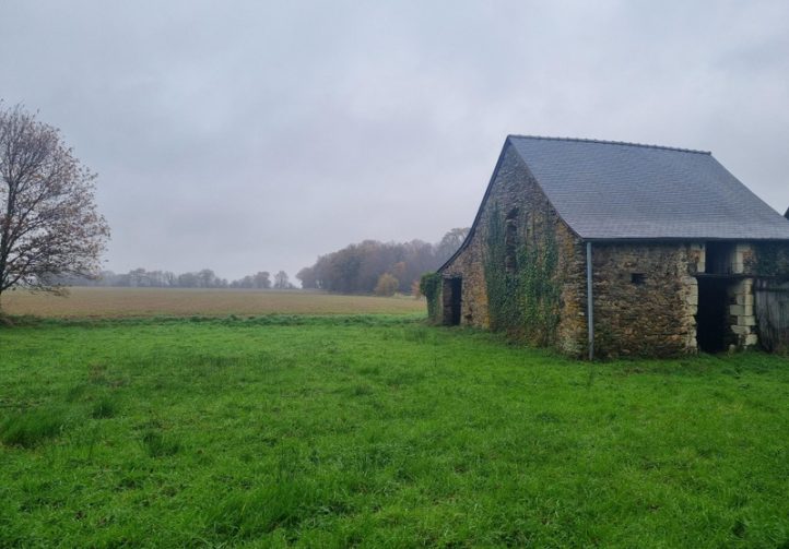 1.25 acre lake with derelict stone house – Maine-et-Loire, Pays-de-la-Loire Image