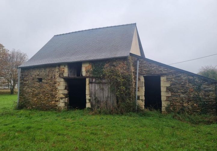 1.25 acre lake with derelict stone house – Maine-et-Loire, Pays-de-la-Loire Image
