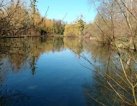 Renovated Longère with Gîte, Carp Fishing Lake and 16 Acres near Le Mans Image