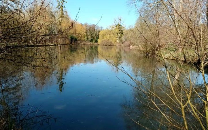Renovated Longère with Gîte, Carp Fishing Lake and 16 Acres near Le Mans Image