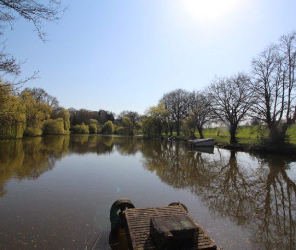 2 Legalised Lakes on 22.5 Acres of Land –  Nuillé-sur-Vicoin, Mayenne, Pays-de-la-Loire Image