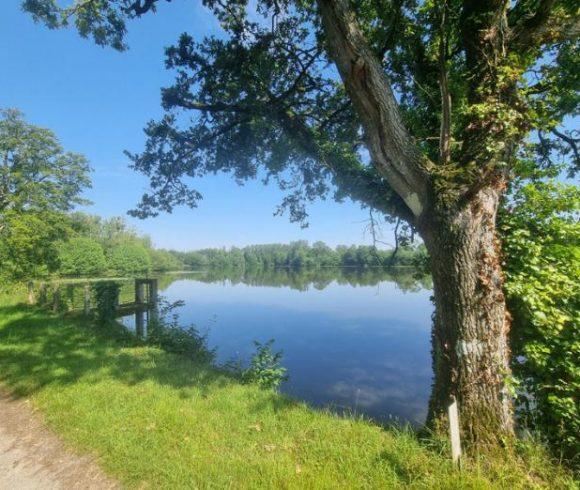 17.5 acre lake with accommodation near Fougères Image