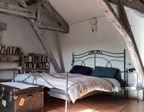 Renovated Longère with Gîte, Carp Fishing Lake and 16 Acres near Le Mans Image