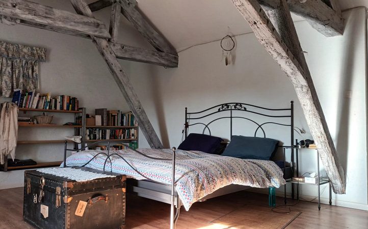 Renovated Longère with Gîte, Carp Fishing Lake and 16 Acres near Le Mans Image