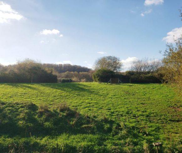 Carp Fishery with Renovated Stone Cottage and 23 Acres of Land Image