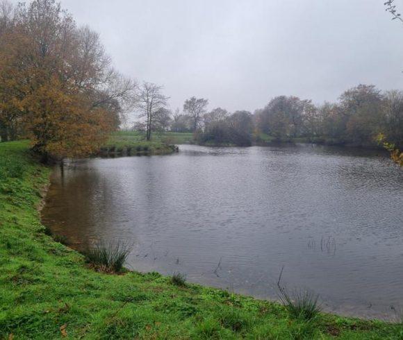 1.25 acre lake with derelict stone house – Maine-et-Loire, Pays-de-la-Loire Image