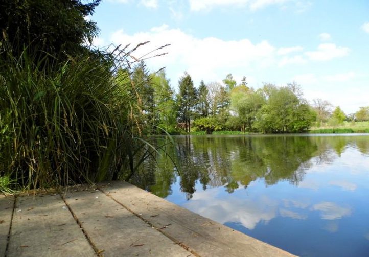 5 acre lake with 3 bedroom house in Mayenne Image