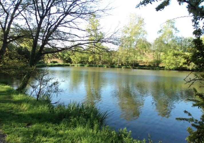 5 acre lake with 3 bedroom house in Mayenne Image