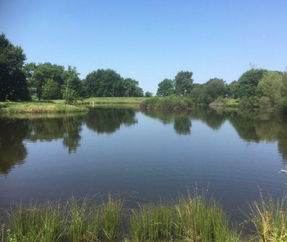 1.25 acre lake with derelict stone house – Maine-et-Loire, Pays-de-la-Loire Image
