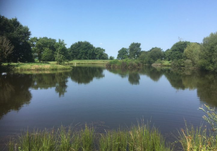 1.25 acre lake with derelict stone house – Maine-et-Loire, Pays-de-la-Loire Image
