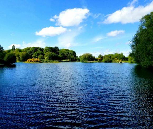 Carp Fishery with Renovated Stone Cottage and 23 Acres of Land Image