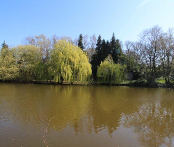 2 Legalised Lakes on 22.5 Acres of Land –  Nuillé-sur-Vicoin, Mayenne, Pays-de-la-Loire Image