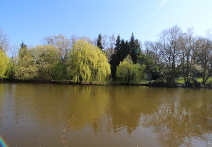2 Legalised Lakes on 22.5 Acres of Land –  Nuillé-sur-Vicoin, Mayenne, Pays-de-la-Loire Image