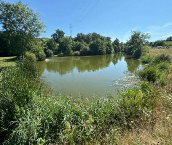 2.5 Acre Lakes in Mayenne with 3 Bed Luxury House Image