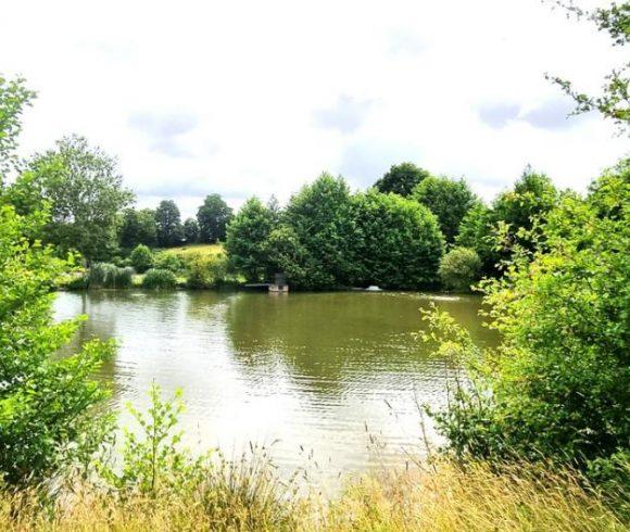 2.5 Acre Lakes in Mayenne with 3 Bed Luxury House Image