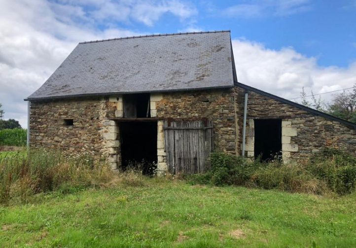 1.25 acre lake with derelict stone house – Maine-et-Loire, Pays-de-la-Loire Image