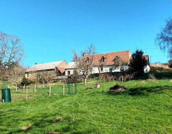 Renovated Longère with Gîte, Carp Fishing Lake and 16 Acres near Le Mans Image