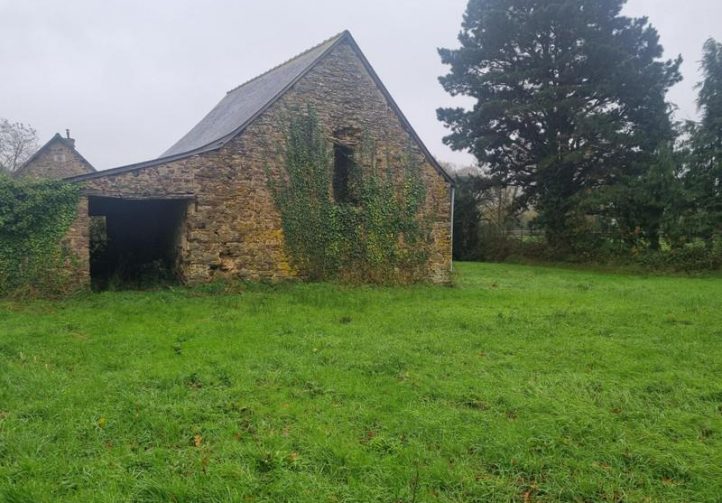 1.25 acre lake with derelict stone house – Maine-et-Loire, Pays-de-la-Loire Image