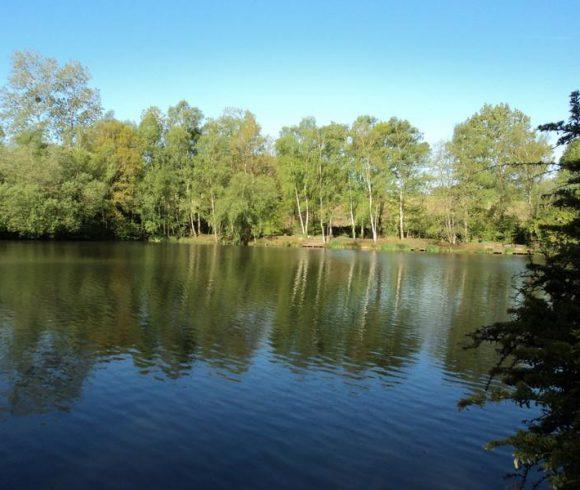 5 acre lake with 3 bedroom house in Mayenne Image