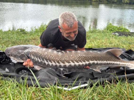 Cheshire Lake: 23-08-2025 to 30-08-2025