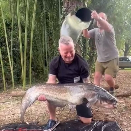 Kingfisher Lake – Carp France – 06 September, 2025