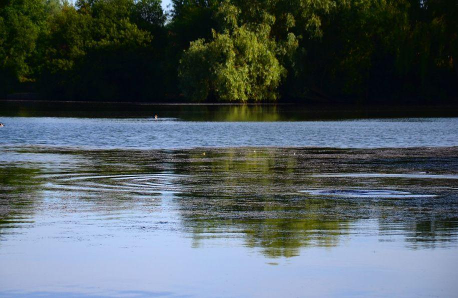 Carp watercraft look for signs