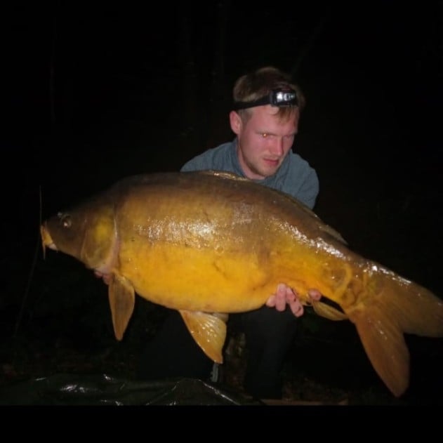 Kingfisher Lake – Carp France – 11 October, 2025