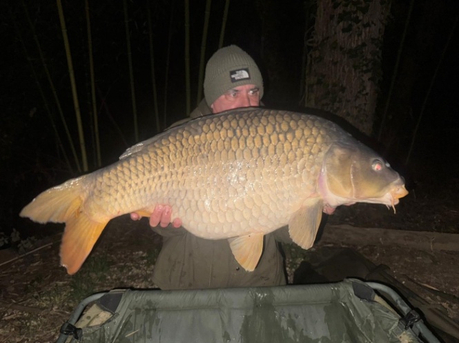 Kingfisher Lake – Carp France – 04 October, 2025