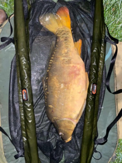 Cheshire Lake – 11 October, 2025