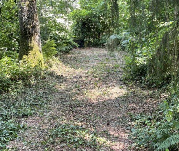 7.5 acre lake in Limousin Image